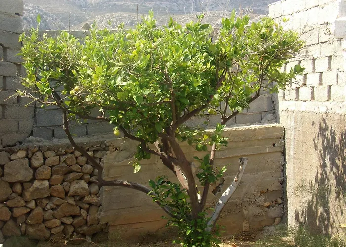 Mikes Apts Апартаменты