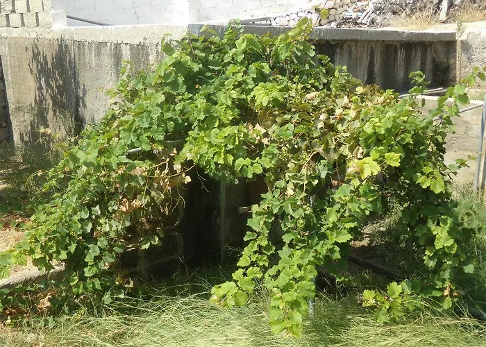 Апартаменты Mikes Apts *